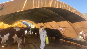  ÇANKAYA'DA KURBAN BAYRAMI HAZIRLIKLARI BAŞLADI