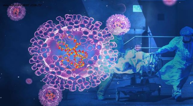 DSÖ: Maymun çiçeği vaka sayısı 780'e çıktı