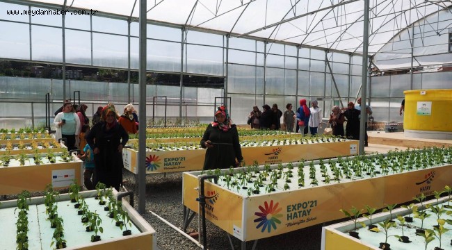 HASSALI KADIN ÜRETİCİLER YENİLİKÇİ TARIM TEKNİKLERİNİ ÖĞRENİYOR