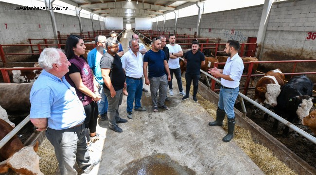  HAYVAN YETİŞTİRİCİLERİNE 'HAYVAN BESLEME' EĞİTİMİ