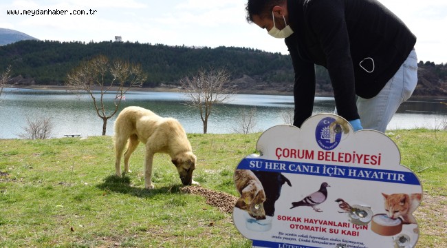 İhbarlara karşı Veteriner İşleri ekipleri 7/24 nöbette