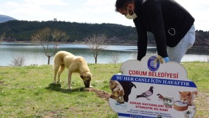 İhbarlara karşı Veteriner İşleri ekipleri 7/24 nöbette