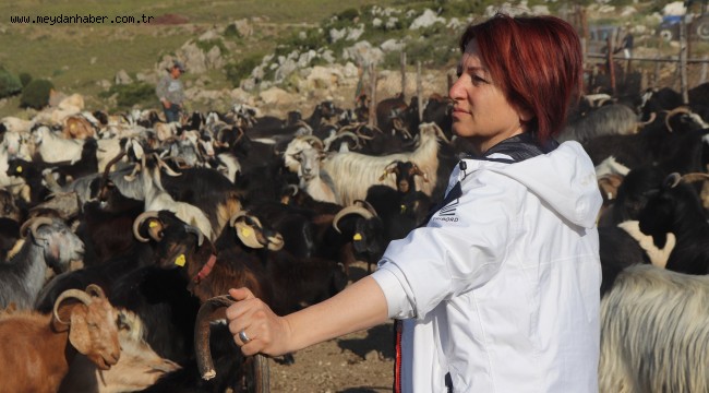 Kırkım Şenliği için tüm hazırlıklar tamam