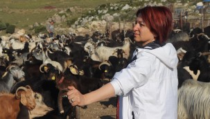 Kırkım Şenliği için tüm hazırlıklar tamam