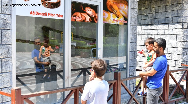 MERSİN BÜYÜKŞEHİR'E BAĞLI TARSUS DOĞA PARKI'NDAKİ HAYVAN