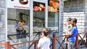 MERSİN BÜYÜKŞEHİR'E BAĞLI TARSUS DOĞA PARKI'NDAKİ HAYVAN