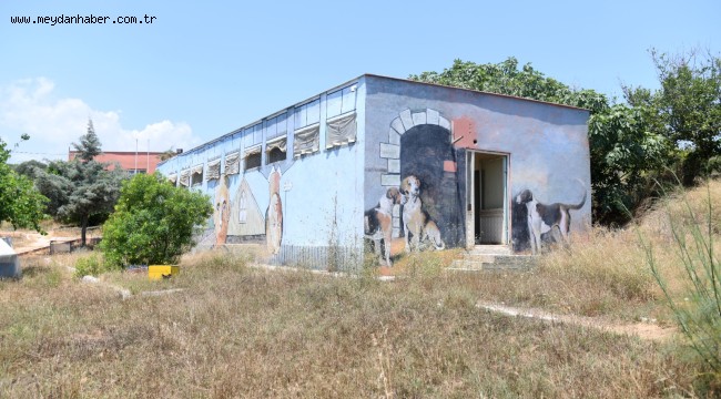 MEÜ'deki hayvan barınağı Yenişehir Belediyesine tahsis edildi