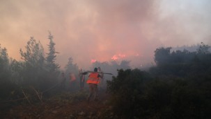 ORMAN YANGINLARINA KARŞI MÜCADELE SEFERBERLİĞİ 