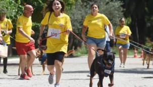 Patili dostlarla koşu