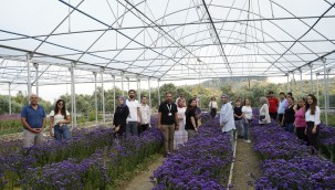 RENGÂRENK BAHÇELER RENGÂRENK EXPO