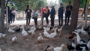 Sevgi en kutsal bağdır