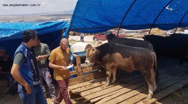 SİNCAN'DA KURBAN PAZAR VE KESİM ALANLARI HAZIR  