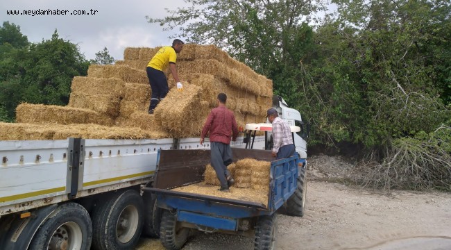 TARSUS BELEDİYESİ HASAT SONRASI ELDE EDİLEN SAMAN BALYALARINI ÜRETİCİLERE ÜCRETSİZ OLARAK DAĞITTI