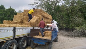 TARSUS BELEDİYESİ HASAT SONRASI ELDE EDİLEN SAMAN BALYALARINI ÜRETİCİLERE ÜCRETSİZ OLARAK DAĞITTI