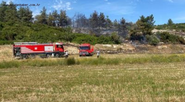 Urla'daki orman yangınını İzmir Büyükşehir Belediyesi'nin kurduğu uyarı sistemi tespit etti