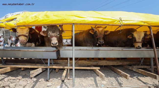 Yenimahalle kurbanlıklar için gün sayıyor ​​​​​​​