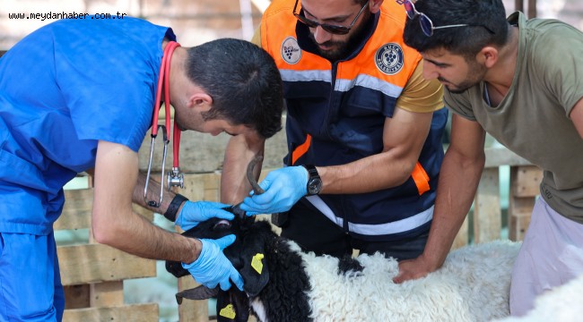Buca'da bayram öncesi denetim mesaisi