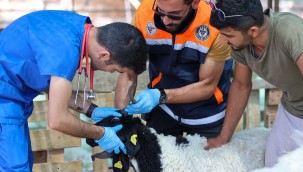 Buca'da bayram öncesi denetim mesaisi