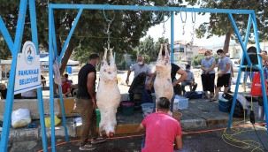 PAMUKKALE'DE KURBAN KESİM YERLERİ BELİRLENDİ