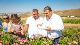 Seferihisar için tarım can damarlarından biridir. 