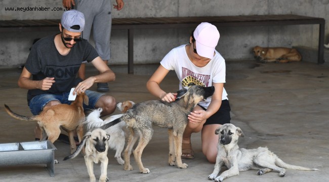 İzmir'de Hayvanseverler Pako'daki can dostlarla buluştu Patilere el verdiler