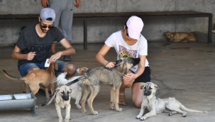 İzmir'de Hayvanseverler Pako'daki can dostlarla buluştu Patilere el verdiler
