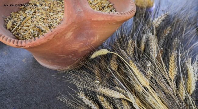 Seferihisar Necat Hepkon Anadolu Lisesi " Slow Scholl of Slow City" projesi