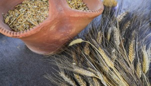 Seferihisar Necat Hepkon Anadolu Lisesi " Slow Scholl of Slow City" projesi