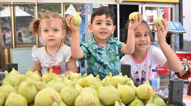 Torbalı Belediyesi'nden Bardacık İnciri Festivali