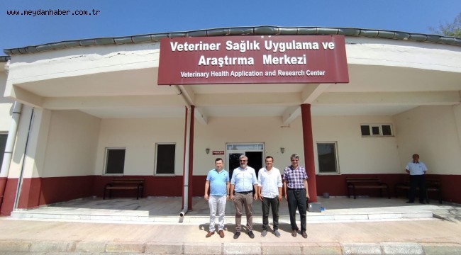 Uşak Belediyesi ve AKÜ Arasında Sokak Hayvanları İçin İş Birliği Protokolü İmzalandı