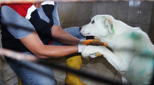 CAN DOSTLARIN YAŞAMLARINA 'KONUKEVİ' DOKUNUŞU