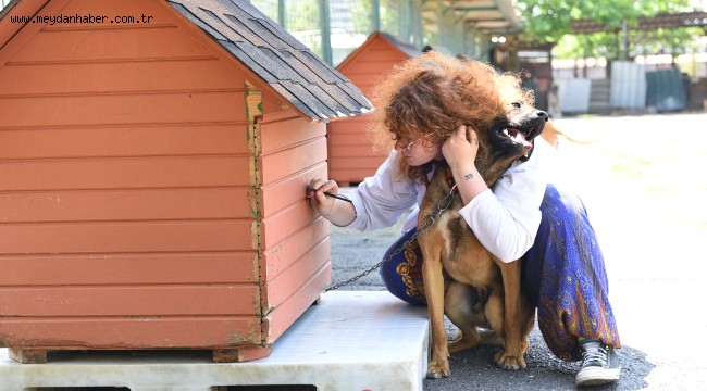 DÜNYA HAYVANLARI KORUMA GÜNÜ KADIKÖY'DE KUTLANACAK