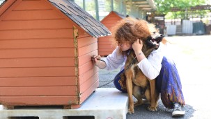 DÜNYA HAYVANLARI KORUMA GÜNÜ KADIKÖY'DE KUTLANACAK