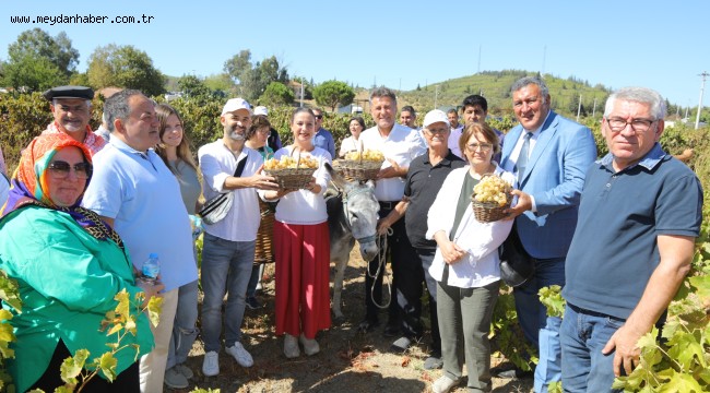 GÖKÇEALAN OSMANCIK ÜZÜMÜ İLE ŞENLENDİ
