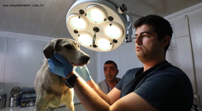 NARLIDERE'DE CAN DOSTLARA ÖZEL İLGİ