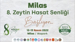 8. MİLAS ZEYTİN HASAT ŞENLİĞİ BAŞLIYOR…