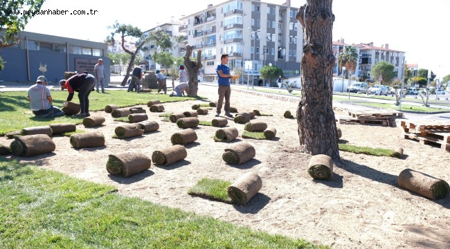 AYVALIK ARTIK ÇOK DAHA YEŞİL