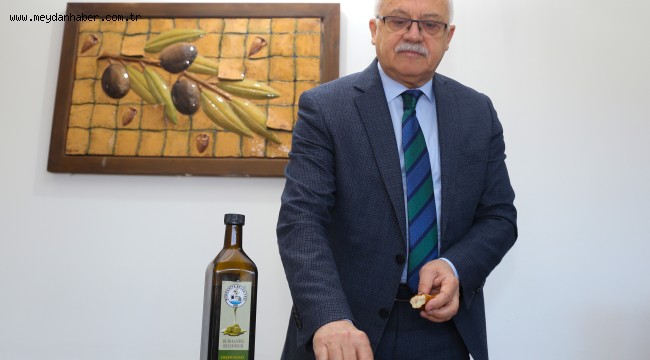 BUR-BEL ZEYTİNLERİ ALTIN SUYU'NA DÖNÜŞTÜ