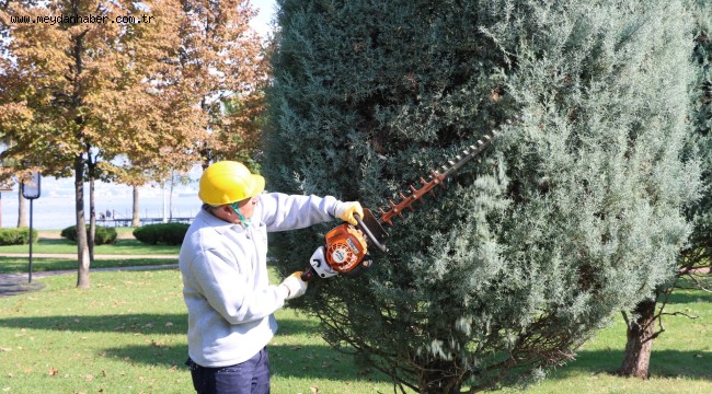 Büyükşehir'den ağaçlara estetik dokunuş