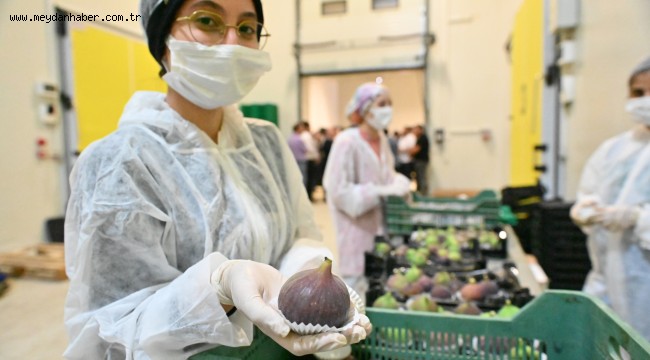 Büyükşehir, üreticiye can suyu oldu