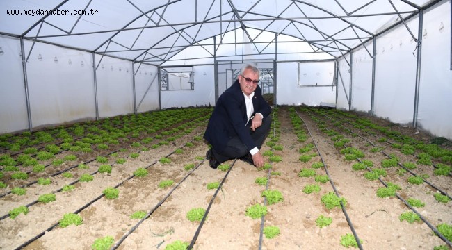 Keşan Belediyesi seralarında ilk hasat yapıldı