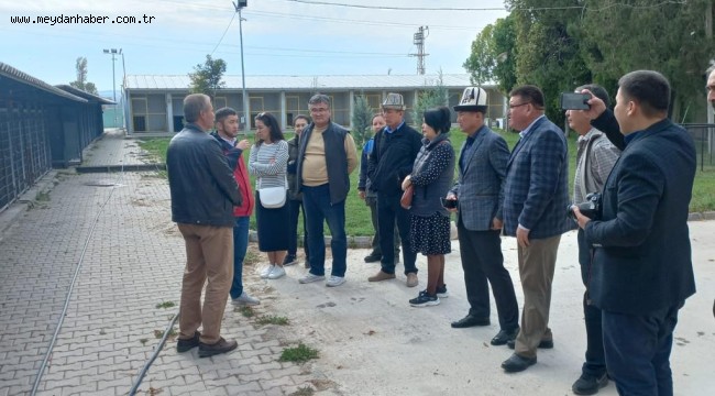 Kırgızistanlı veteriner hekimler Odunpazarı Geçici Hayvan Bakımevini ziyaret etti