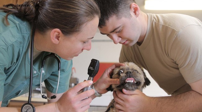 Prof. Dr Osman Yılmaz: Birlikte Daha Güçlüyüz!