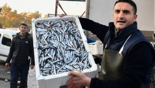 ANKARALI EN ÇOK PALAMUT, KAVUN VE DOMATES TÜKETTİ