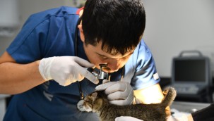 BBB'den, Edremit'e Sokak Hayvanları Tedavi Merkezi