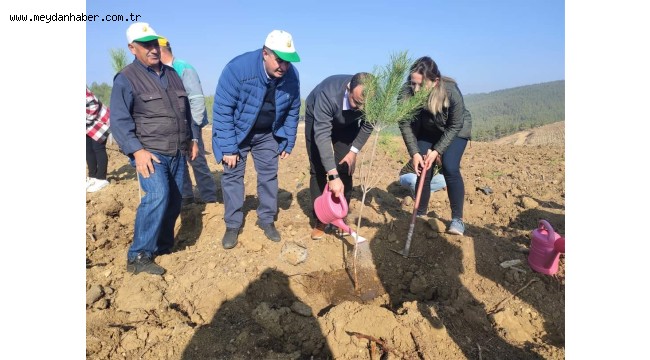 KINIK'TA FİDANLAR TOPRAKLA BULUŞTU