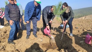 KINIK'TA FİDANLAR TOPRAKLA BULUŞTU