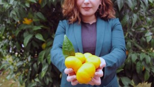 Seferihisar 22. Mandalina Şenliği'ne Hazır