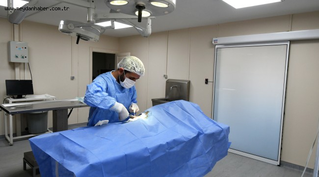 Can dostlara kesintisiz hizmet!