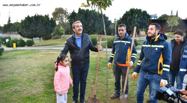 Çukurova'da turunç seferberliği
